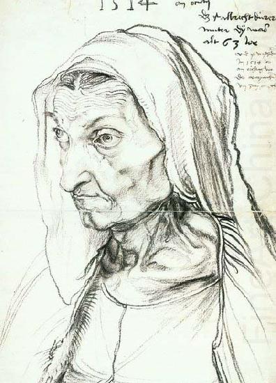 Albrecht Durer Portrait of the Artist's Mother china oil painting image